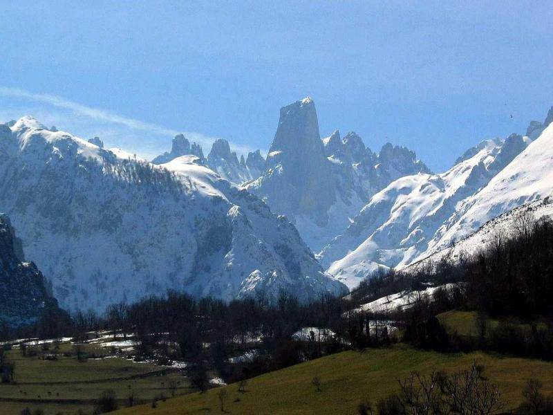 Camangu image