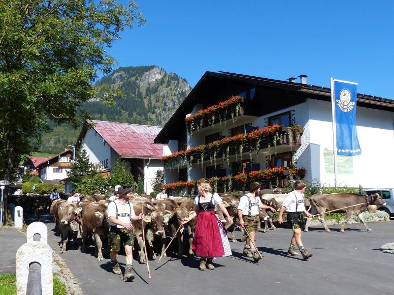 Amadeus Hotel & Cafe image
