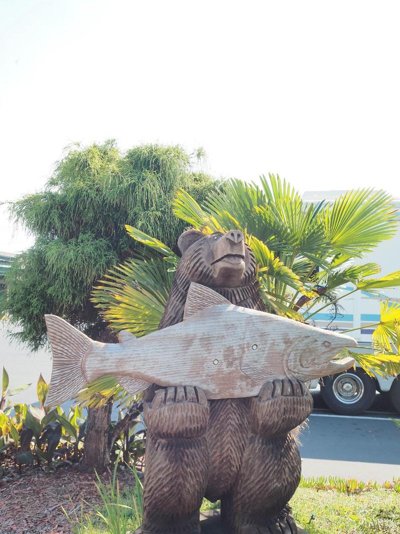 Wild Rivers Motor Lodge image
