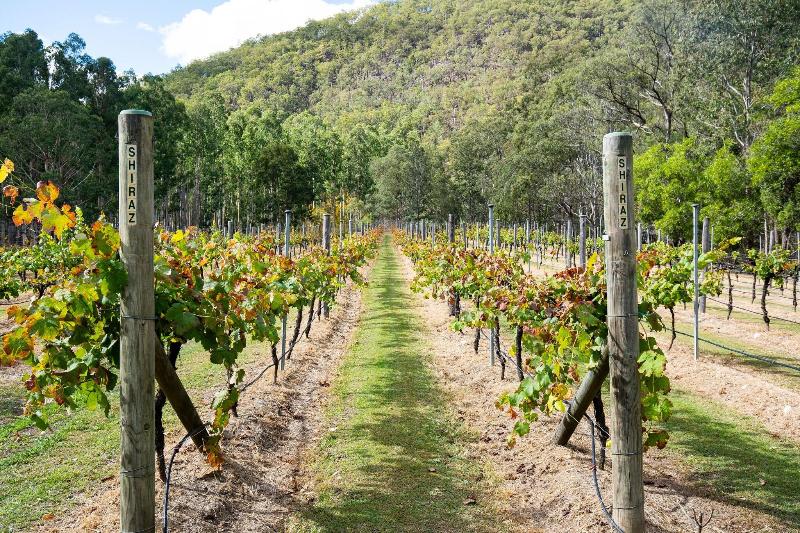Barney Creek Vineyard Cottages