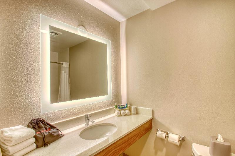 Holiday Inn Express Hotel & Suites Oshkosh Statero 4