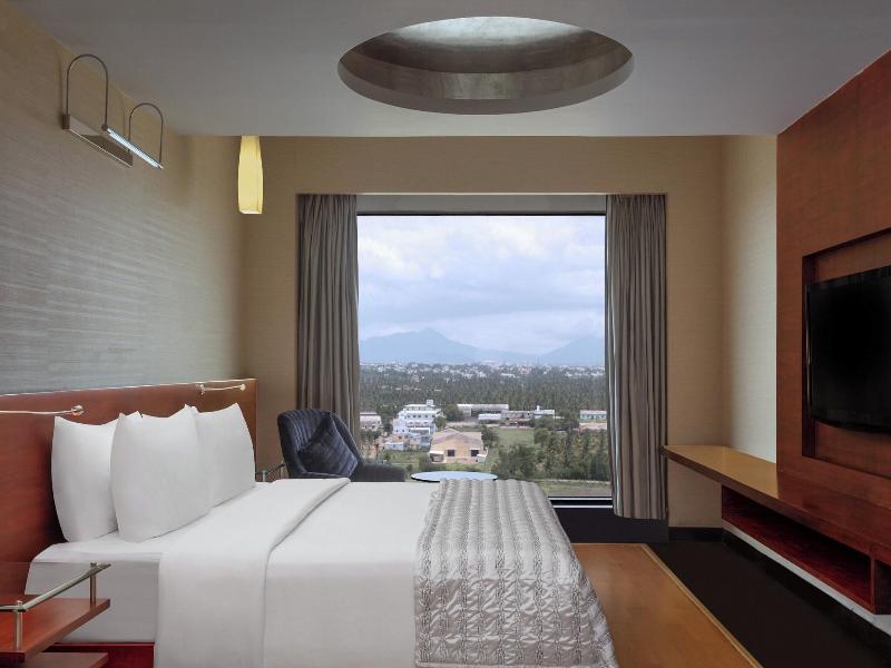SUITE EXECUTIVE KING BED — photo 7