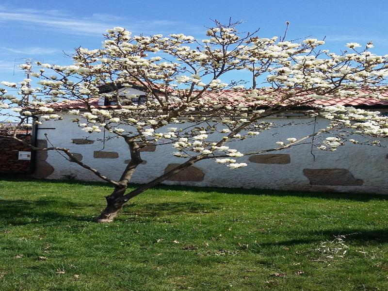 Casa da Quinta de Sao Martinho image