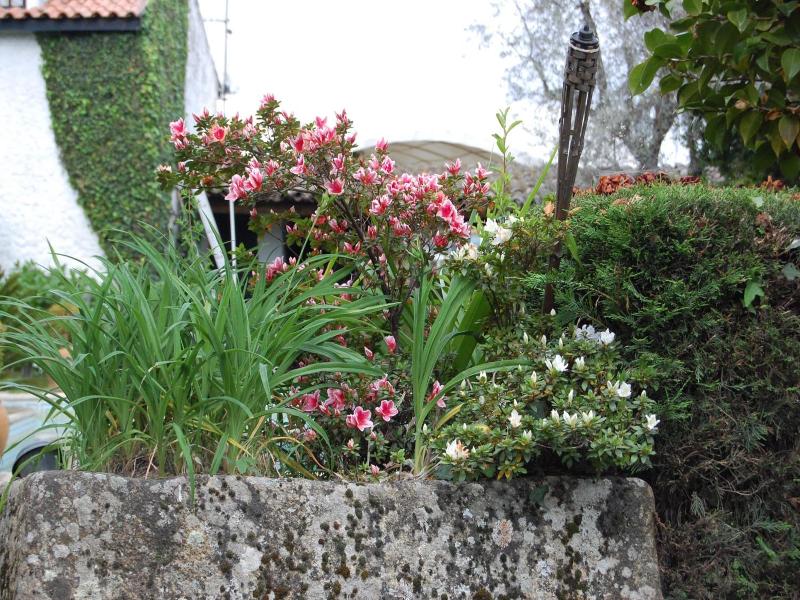 Casa da Quinta de Sao Martinho image