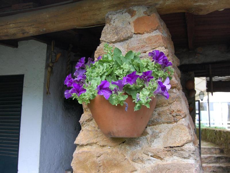 Casa da Quinta de Sao Martinho image