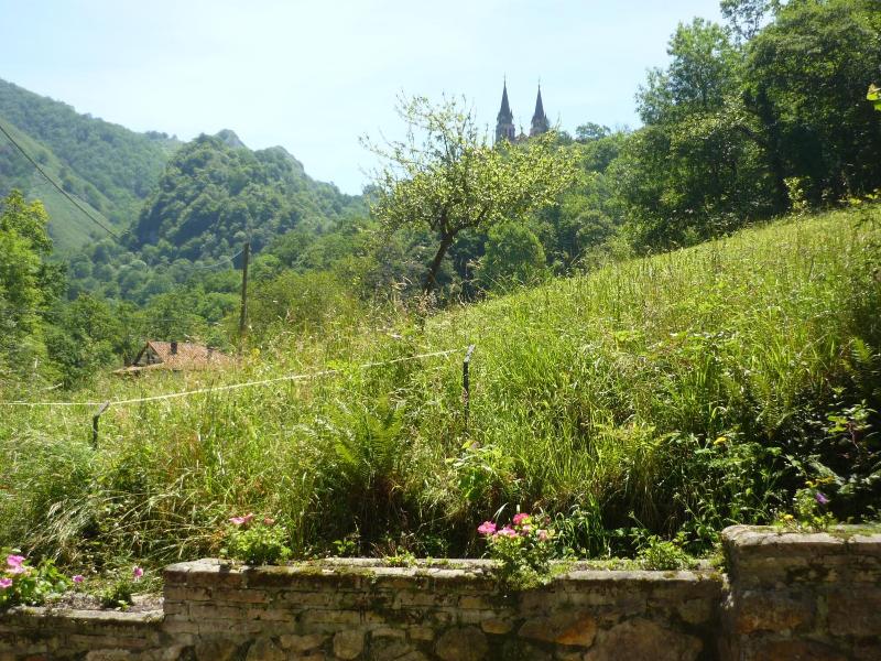 El Repelao image