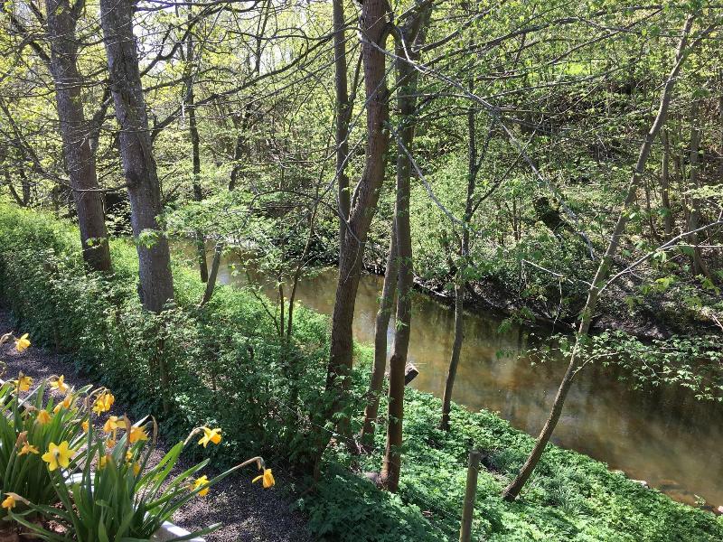 Bromølle Kro image