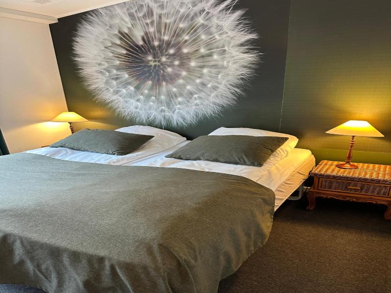 Bromølle Kro image