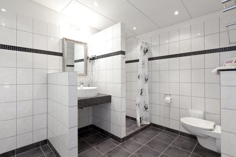 Bromølle Kro image