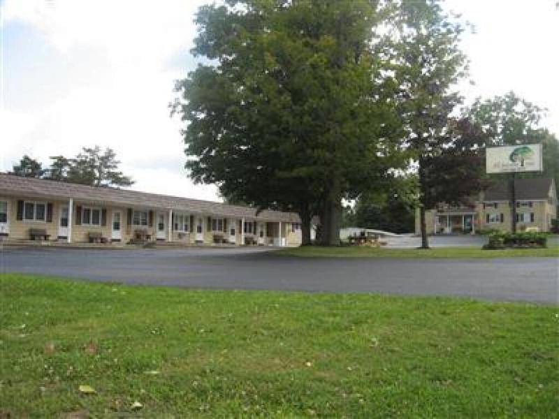 All Seasons Inn image