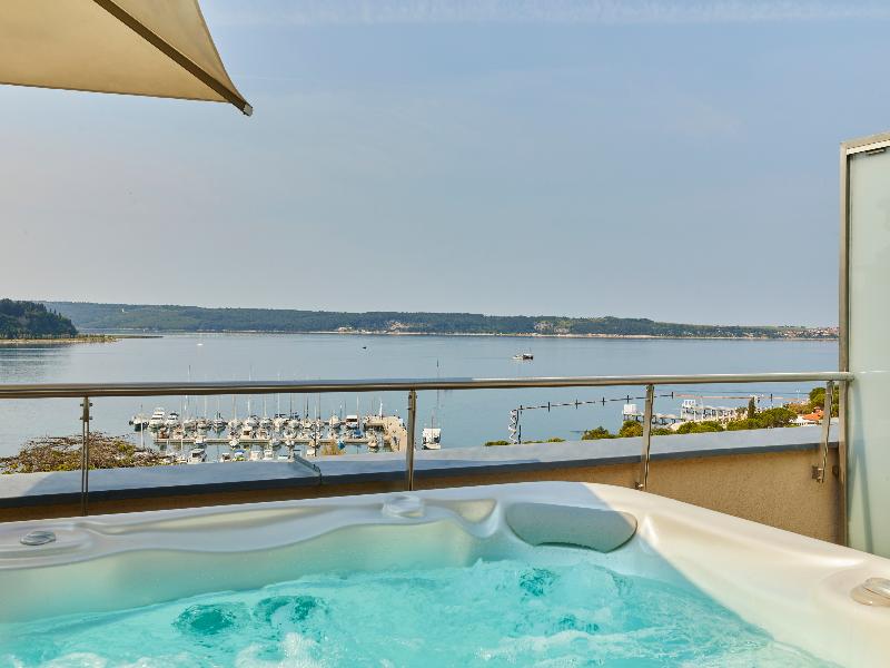 Palace Portoroz image