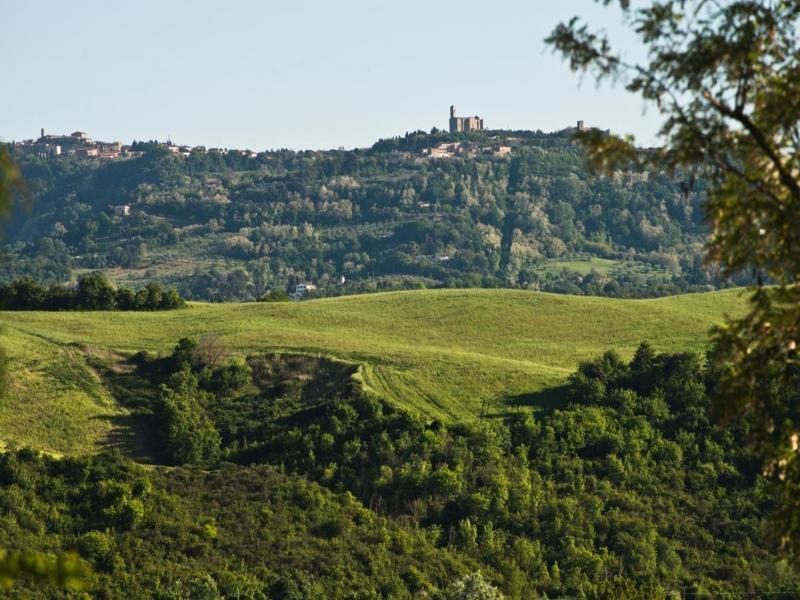 Podere Campaini image