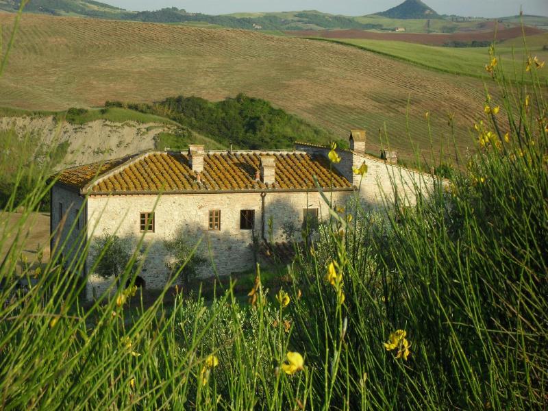 Podere Campaini image
