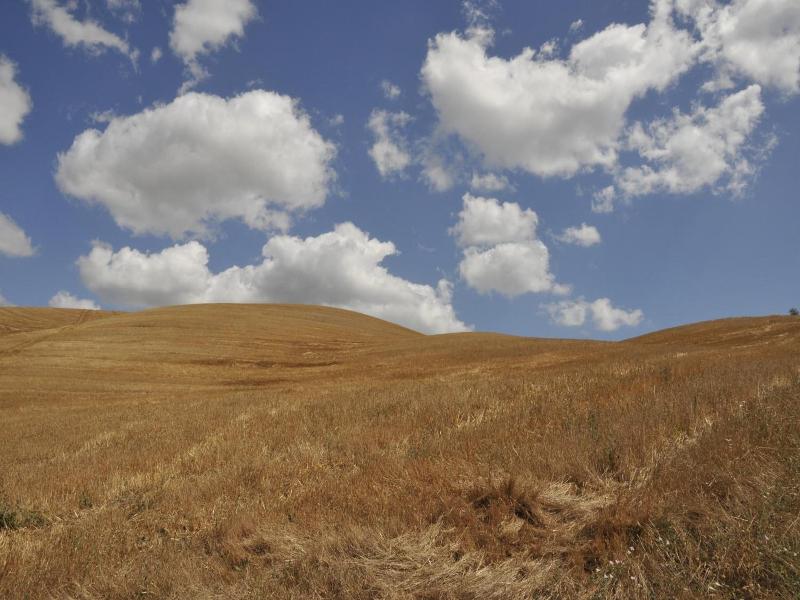 Podere Campaini image