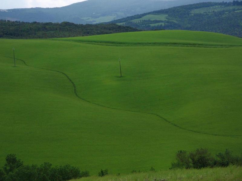 Podere Campaini image