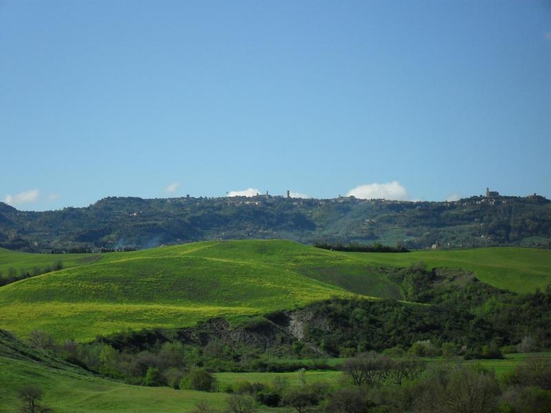 Podere Campaini image