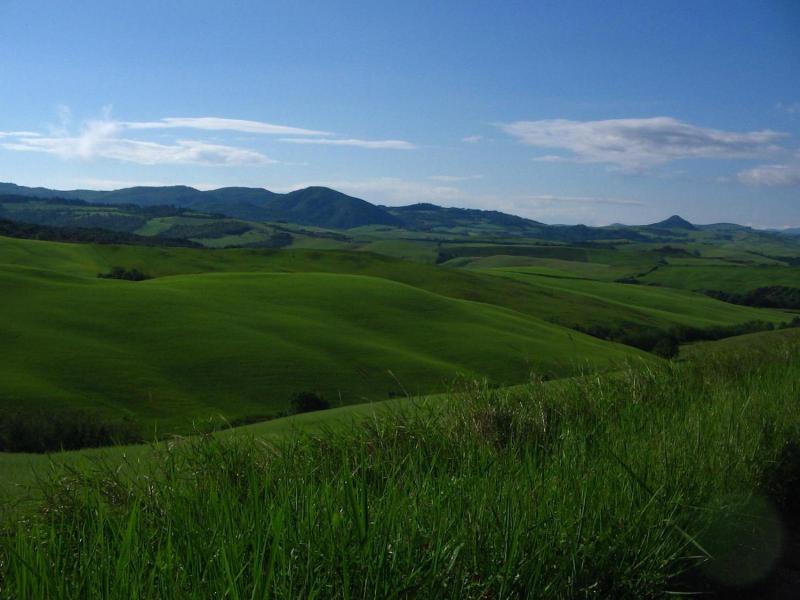Podere Campaini image