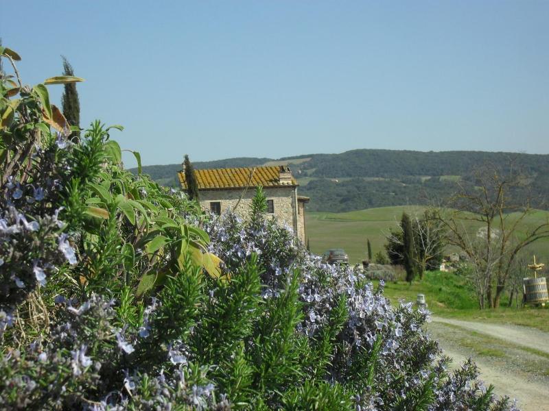 Podere Campaini image