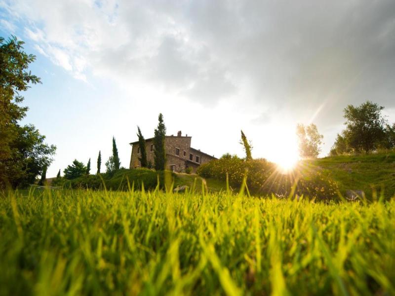 Podere Campaini image