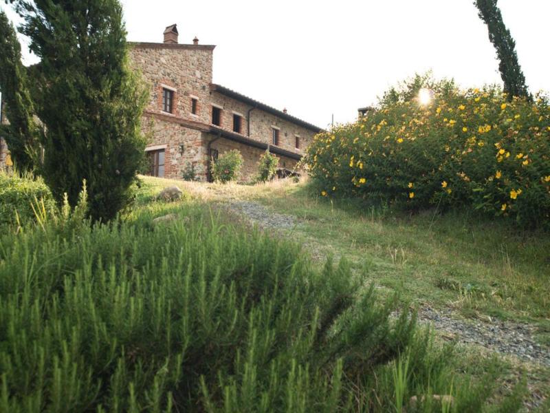 Podere Campaini image