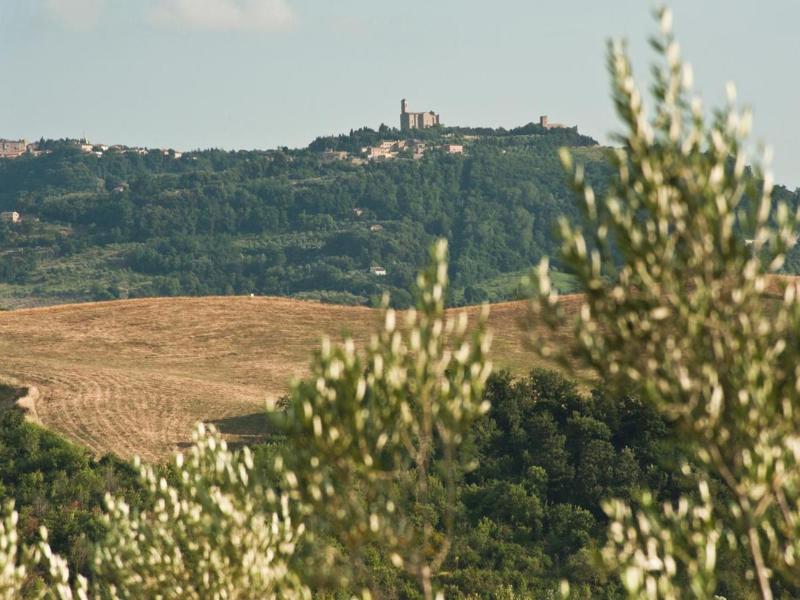 Podere Campaini image