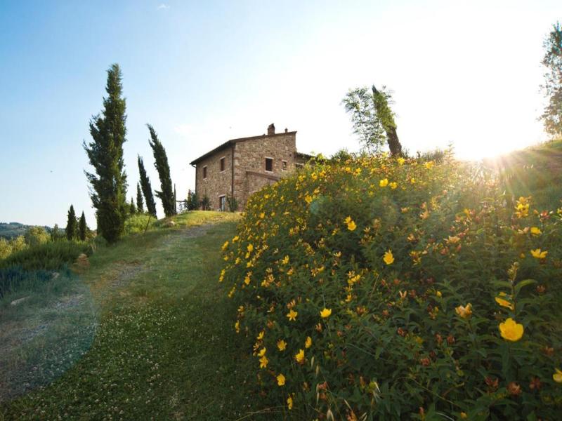 Podere Campaini image