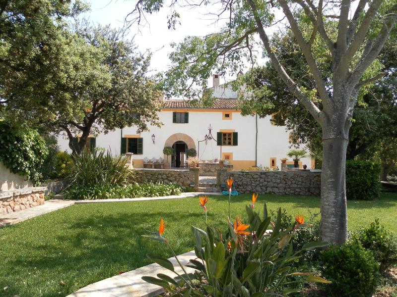 Finca Llenaire image