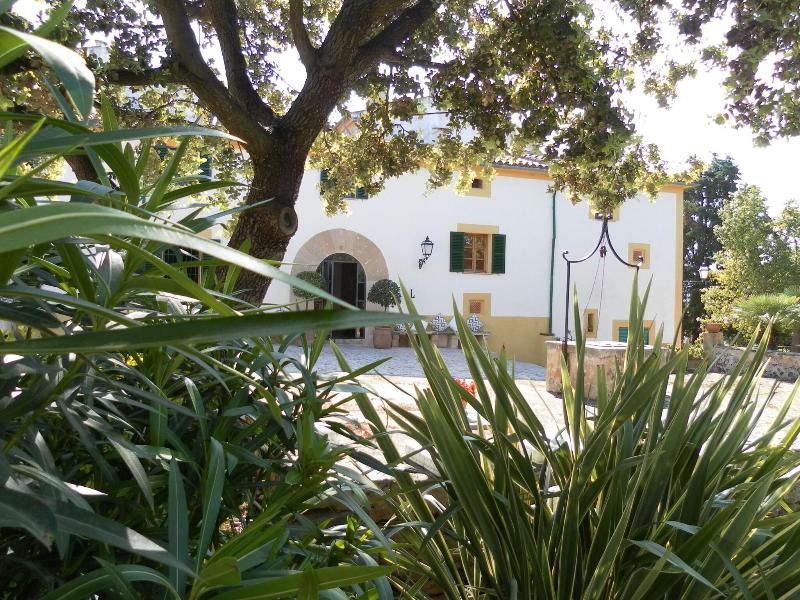 Finca Llenaire image