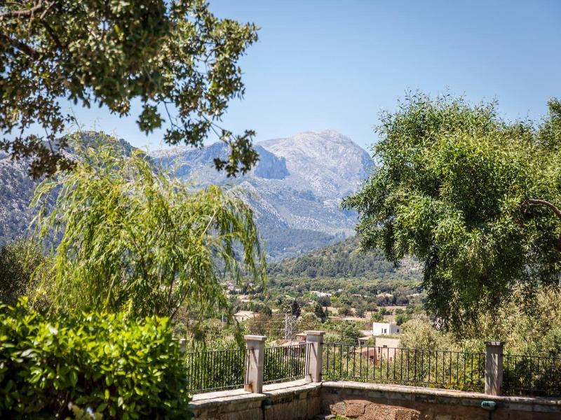 Finca Llenaire image
