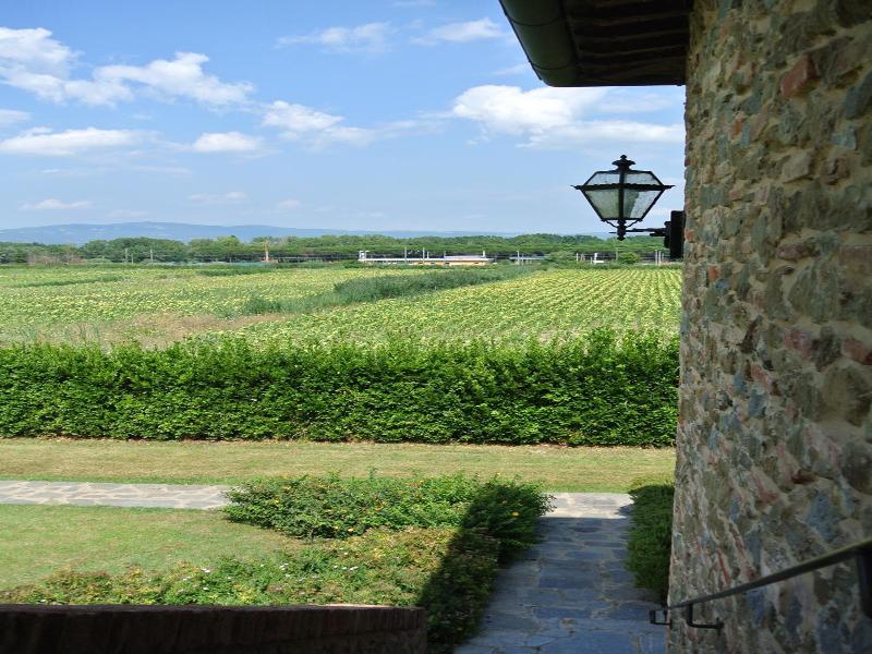 Principe del Trasimeno image