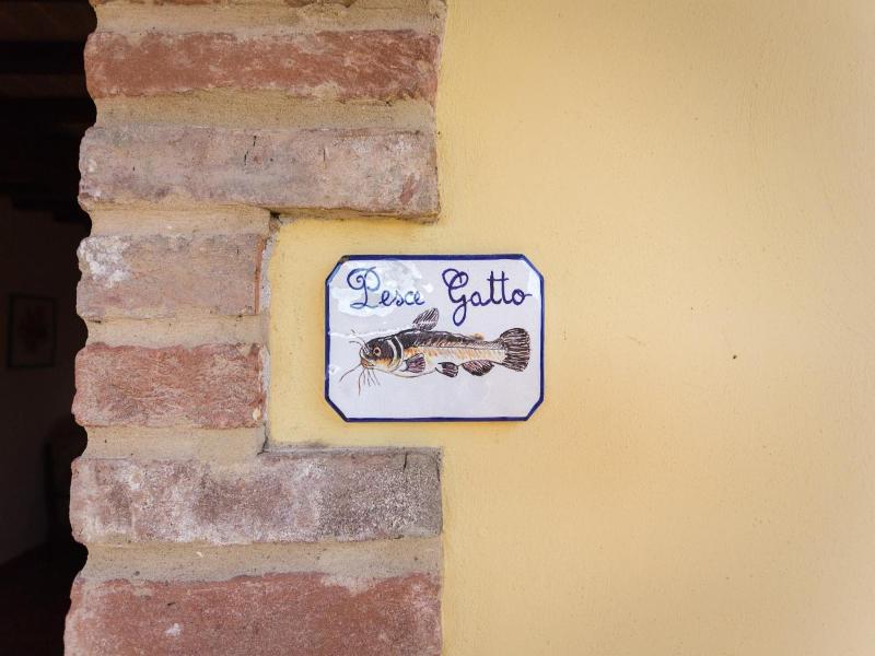 Principe del Trasimeno image