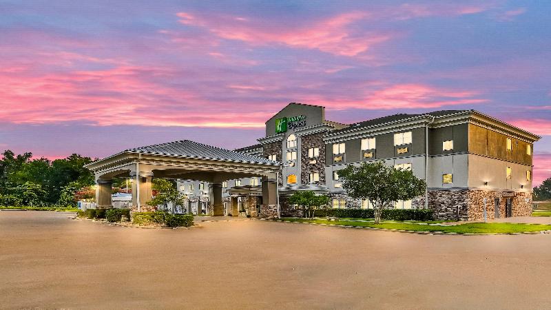 Holiday Inn Express Palestine image