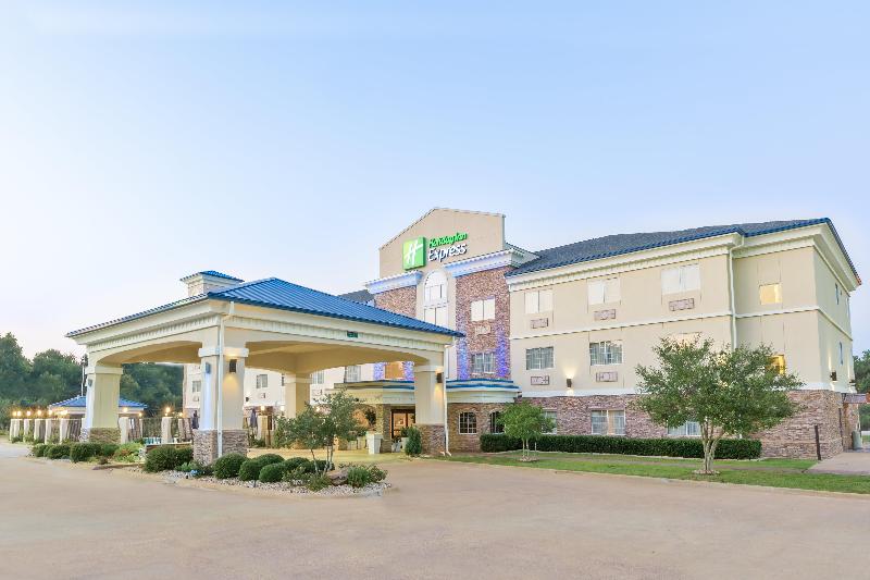 Holiday Inn Express Palestine image