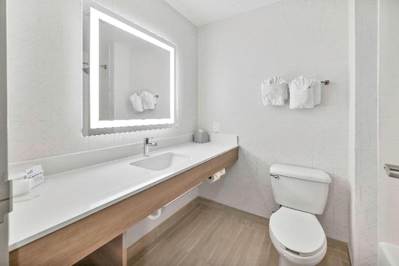 Holiday Inn Express Palestine image