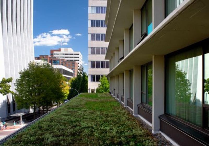 The Hotel Zags Portland