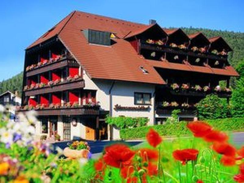 Schwarzwaldhof image