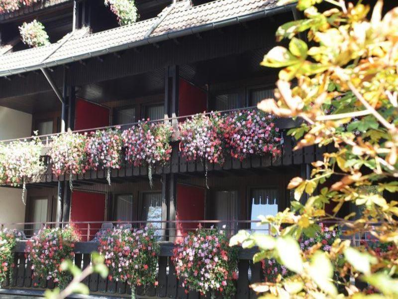 Schwarzwaldhof image