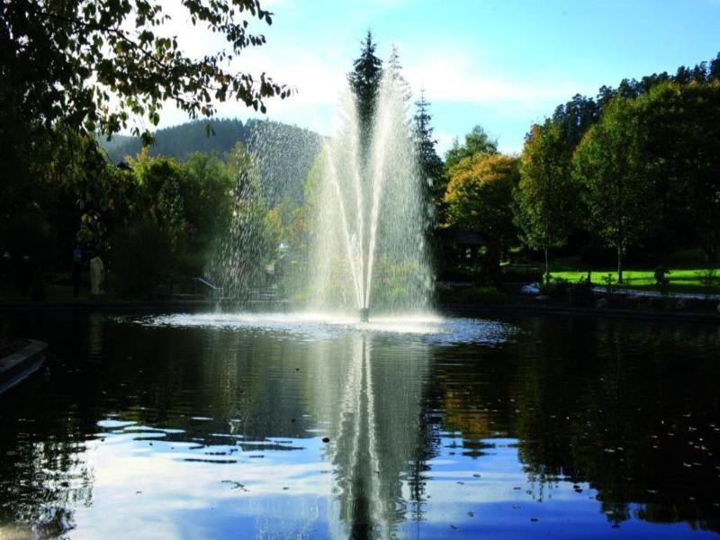 Schwarzwaldhof image