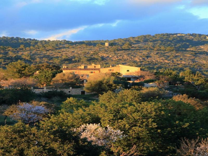 Finca Son Malero image