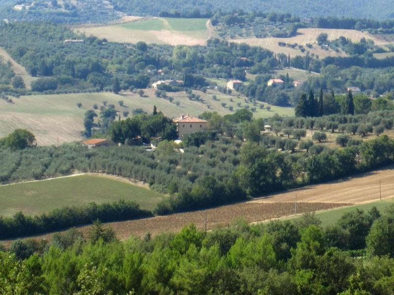 Casale dei Dotti image