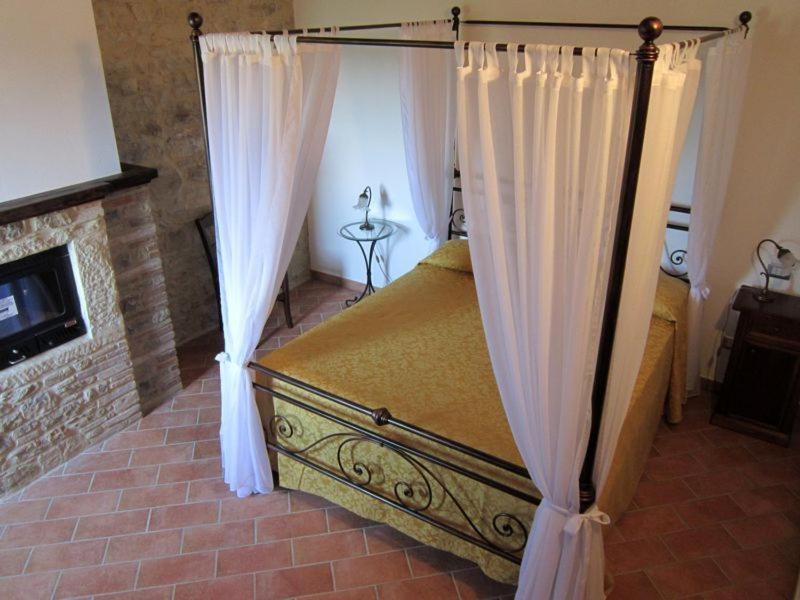 Casale dei Dotti image