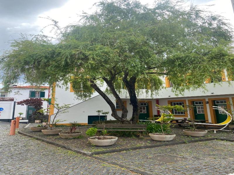 Verde Mar
