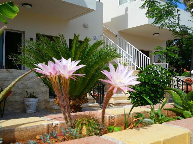 Astrofegia Apartments image