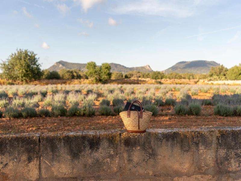 Finca Son Pieras image