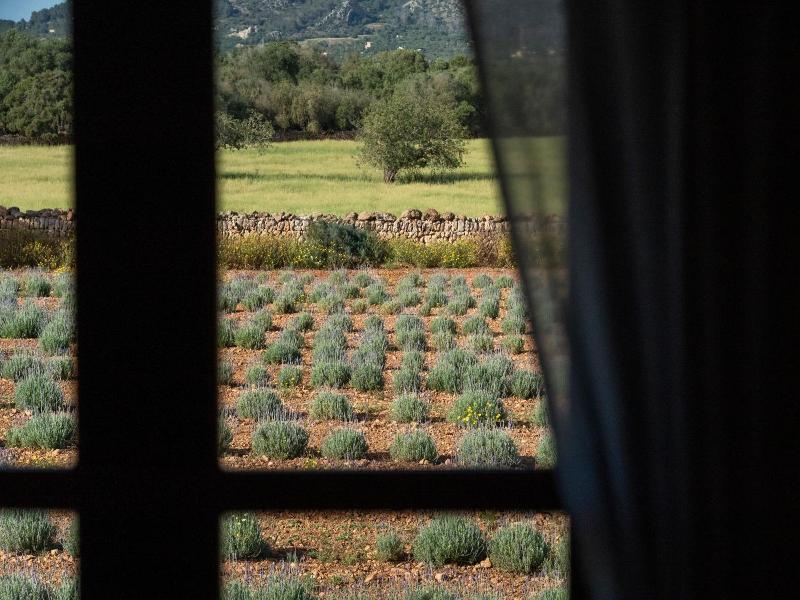 Finca Son Pieras image