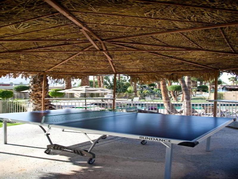 Desert Isle of Palm Springs image