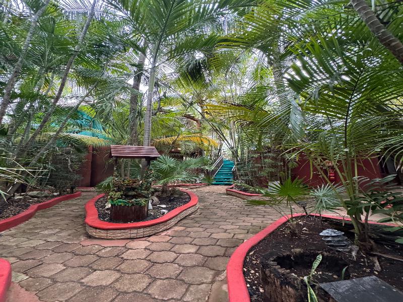Cocos Cabañas — view