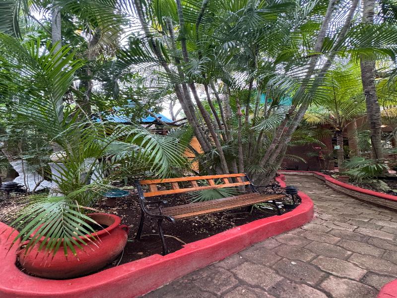 Cocos Cabañas — view