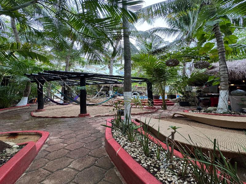 Cocos Cabañas image