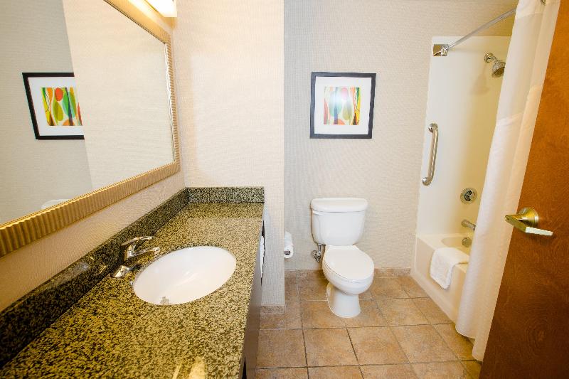 Holiday Inn Phoenix - Chandler image